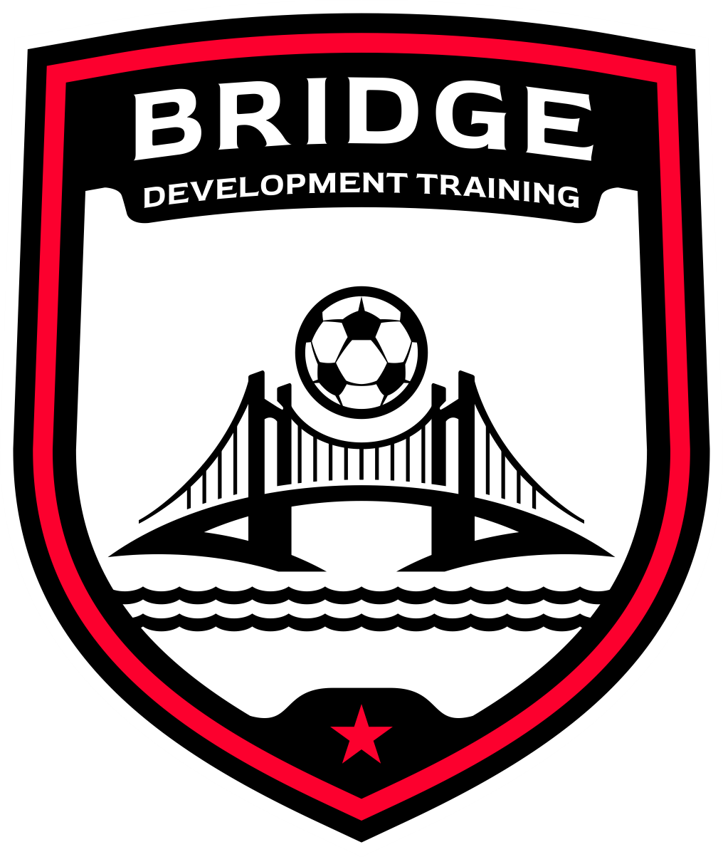 Bridge Development Training